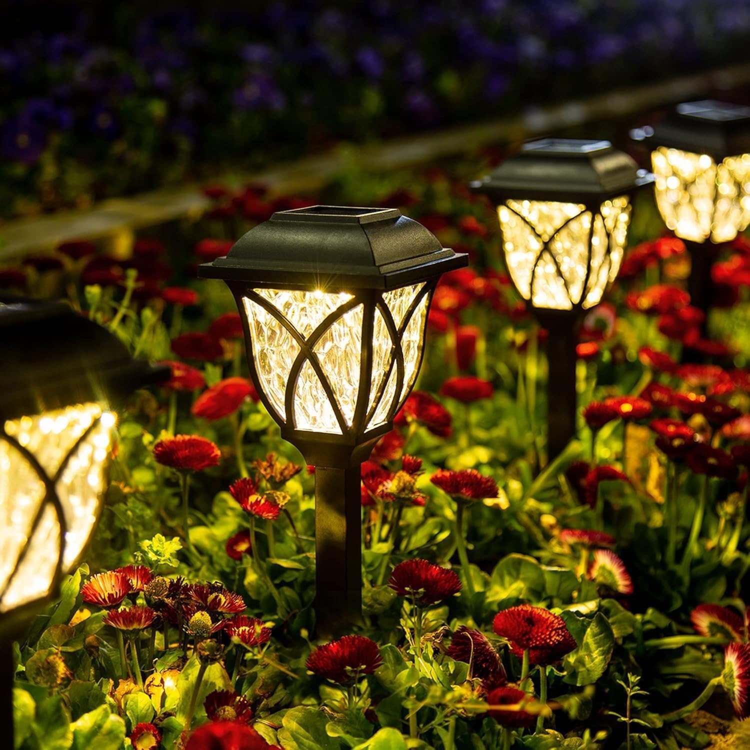 Six warm white solar pathway lights staked along a garden bed at dusk